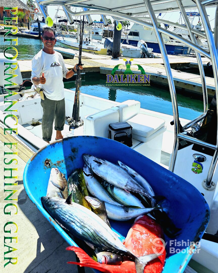 San Jose del Cabo Report Photo 0