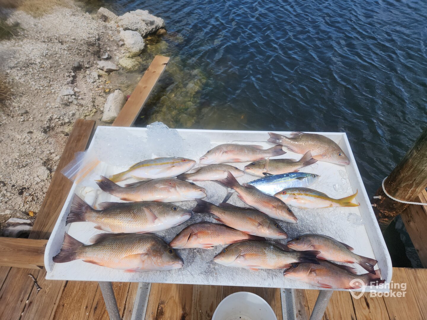 Summerland Key Report Photo 0