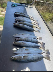 Galveston Report Photo 2