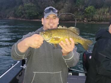 Youngstown Report Photo 2