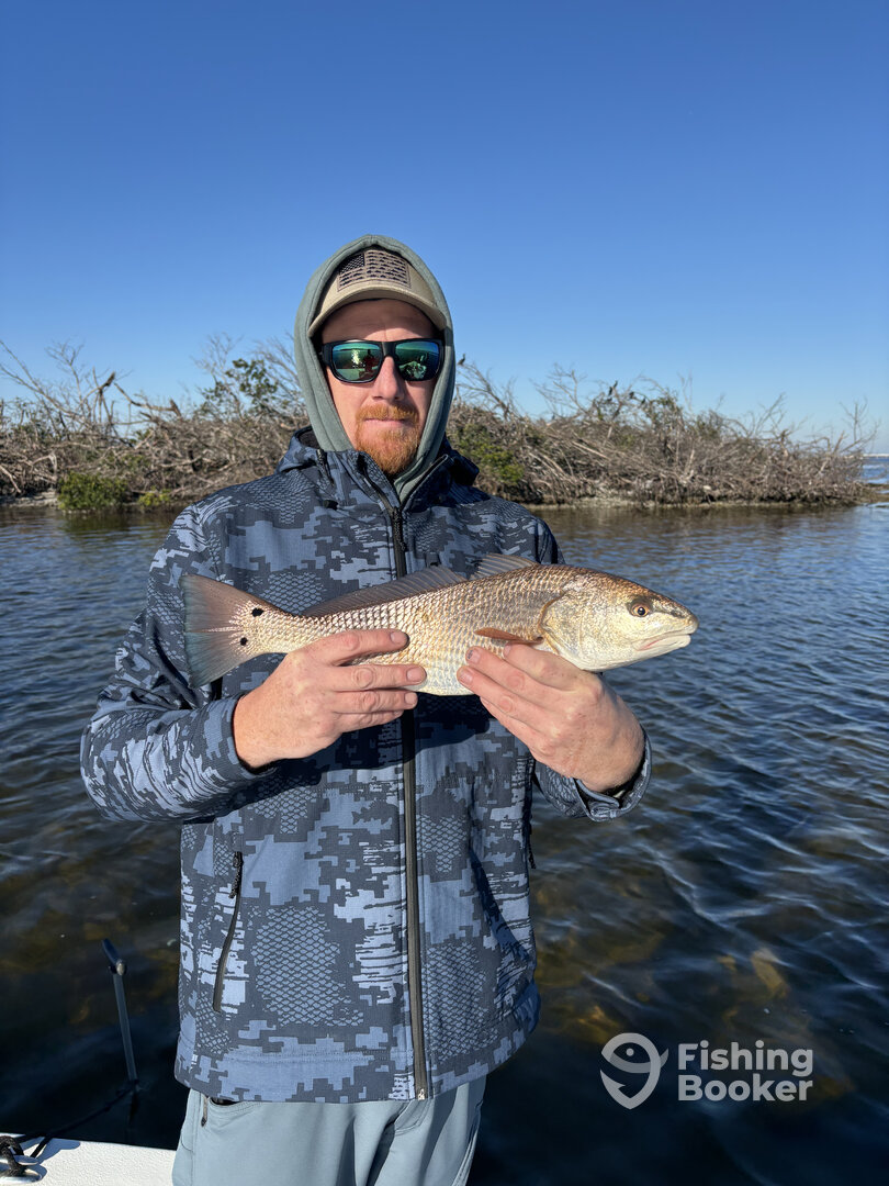 Boca Grande Report Photo 0