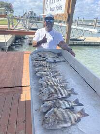 Redfish, sheepshead, black drum