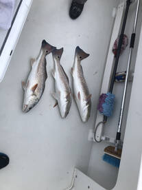 Crisfield Report Photo 2