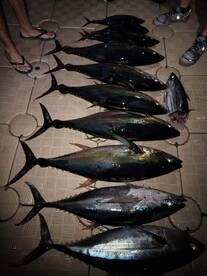 Trou Aux Biches Report Photo 2