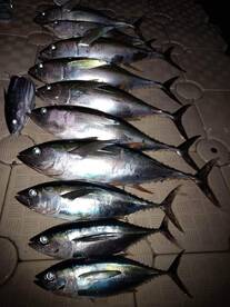 Trou Aux Biches Report Photo 1