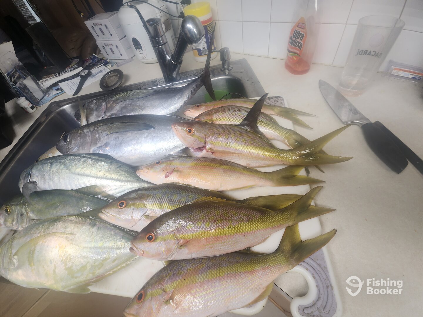Key Largo Report Photo 0