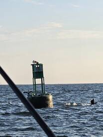 Lakeside Marblehead Report Photo 1