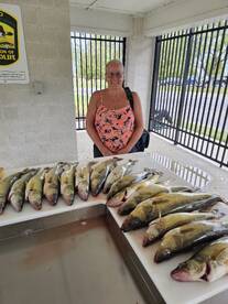 Lakeside Marblehead Report Photo 2