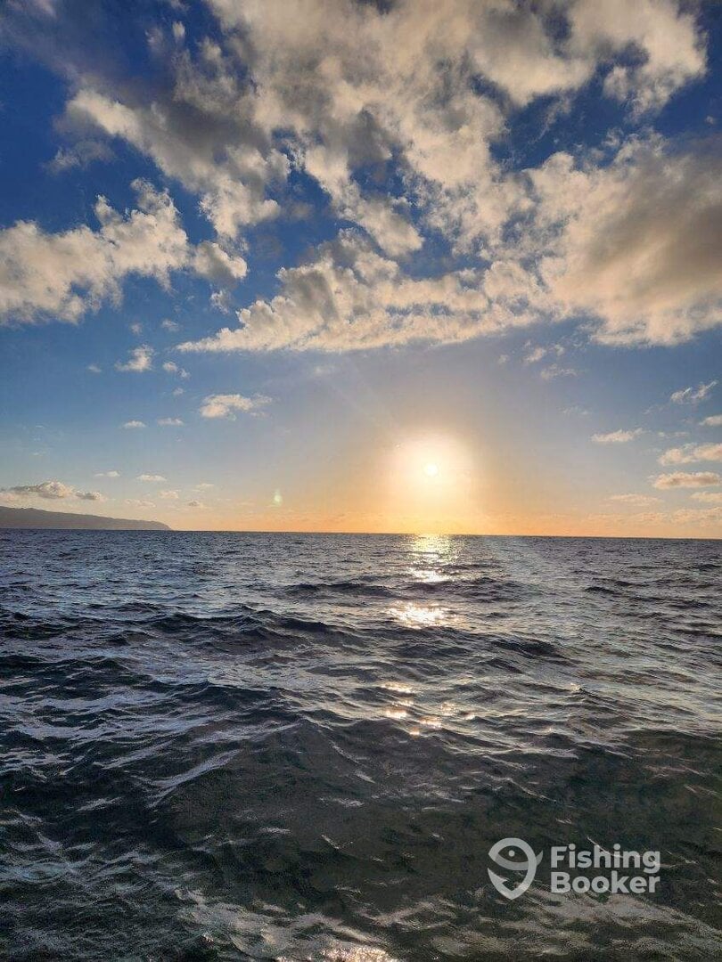 Haleiwa Report Photo 0