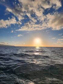 Haleiwa Report Photo 2
