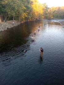 Chincoteague Report Photo 2