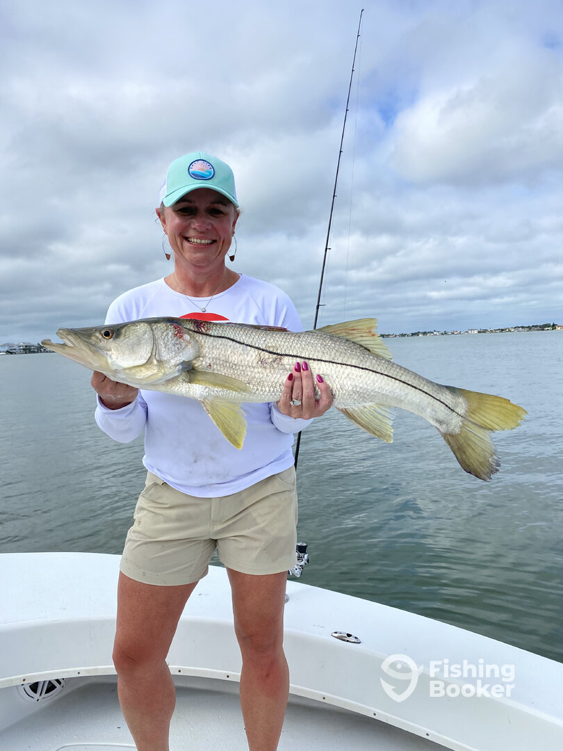 Clearwater Report Photo 0
