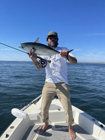 Albie season keeps on trucking!