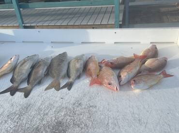 October 5th 2023 fishing report for Fort