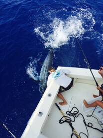 Kailua-Kona Report Photo 1