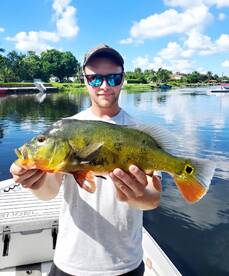 Delray Beach Report Photo 1