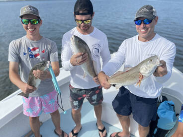 Great Start to October 