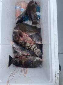 Bourne Report Photo 1