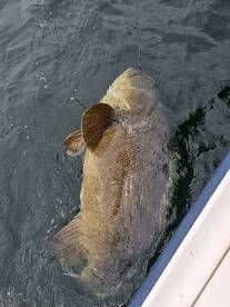 Clearwater Report Photo 2