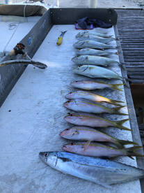 Islamorada Report Photo 2