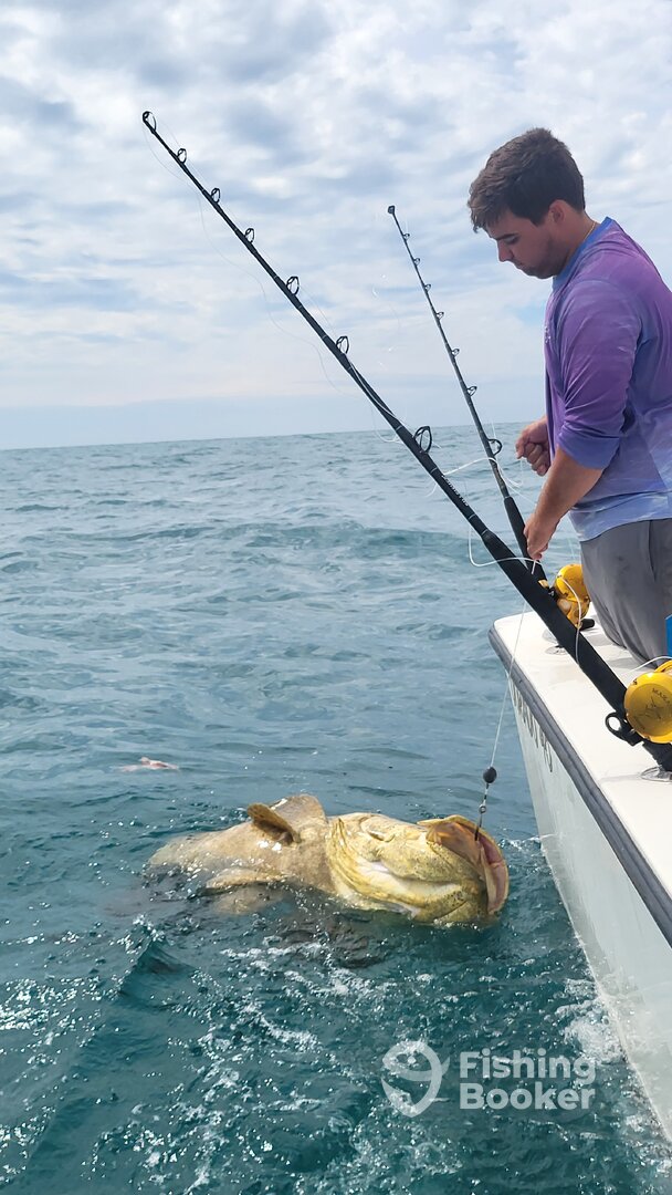 Placida Report Photo 0