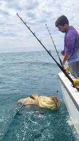 Temps are dropping fish are popping!