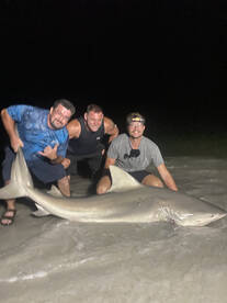 St. Pete Beach Report Photo 1
