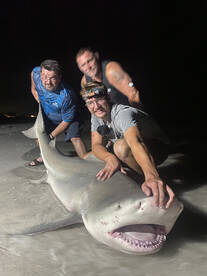 St. Pete Beach Report Photo 2
