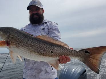 Mullet Run - and the Bulls are on the Ru
