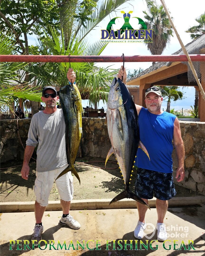 San Jose del Cabo Report Photo 0