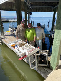 Galveston Report Photo 2