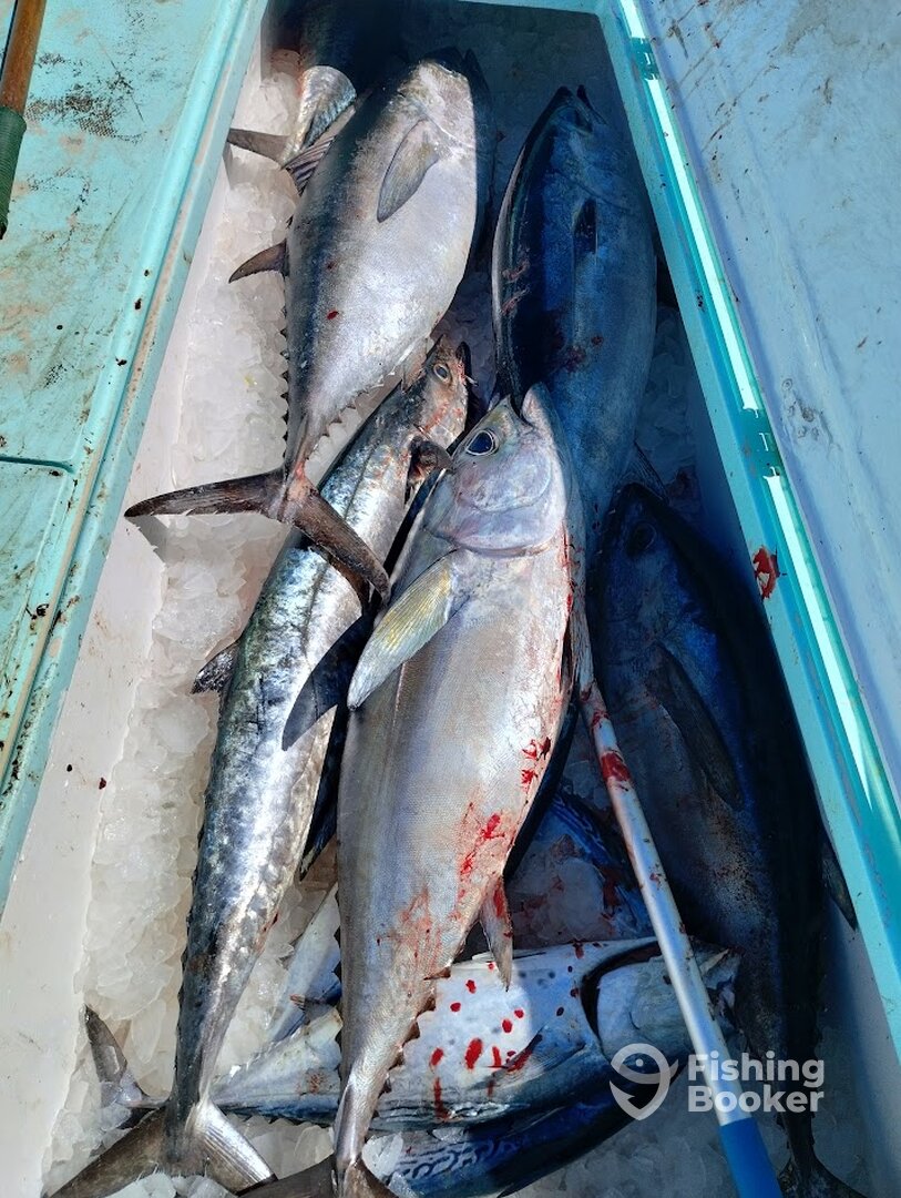 Destin Report Photo 0