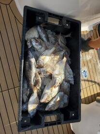 Point Pleasant Report Photo 1