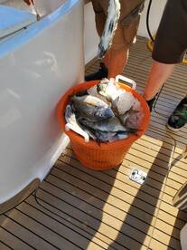 Point Pleasant Report Photo 2