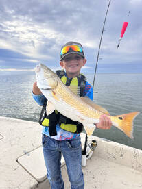 Matagorda Report Photo 1