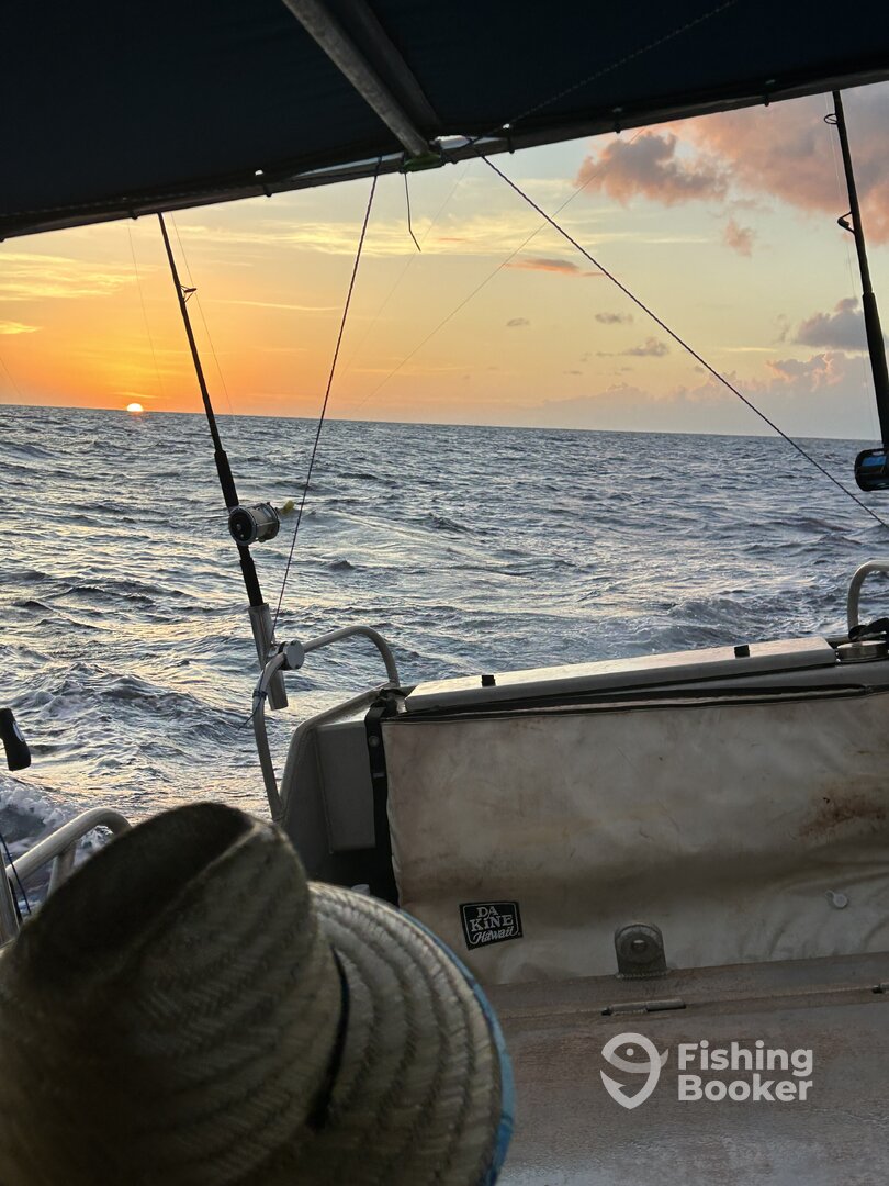 Haleiwa Report Photo 0