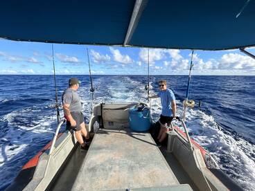 Haleiwa Report Photo 2