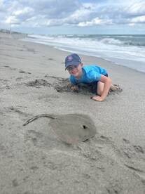 Cocoa Beach Report Photo 2