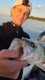 Pasadena Report Photo 1