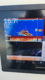 Pasadena Report Photo 2