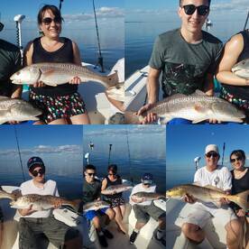 Spring is just around the corner!