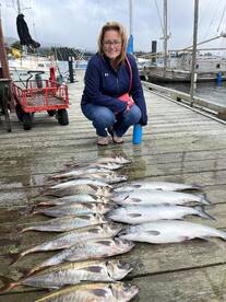 Coho & Mackerel