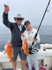 San Diego Report Photo 1