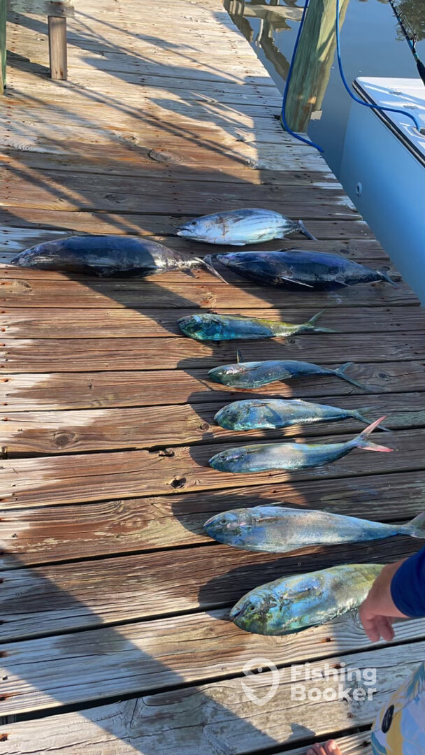 Beaufort Report Photo 0