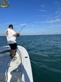 Beaufort Report Photo 2