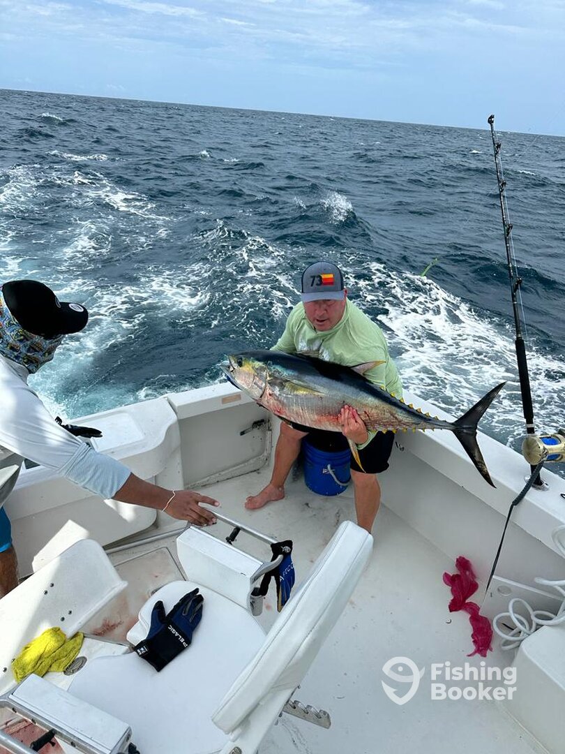 Cabo San Lucas Report Photo 0