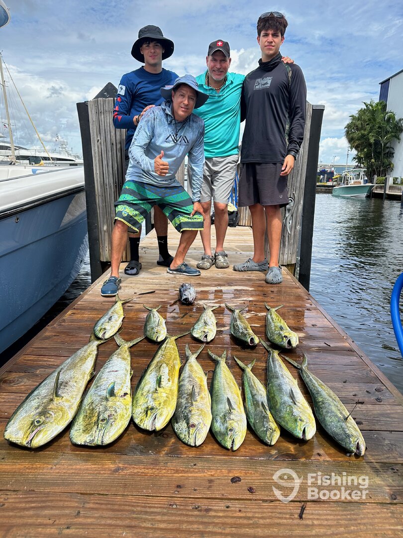 Dania Beach Report Photo 0