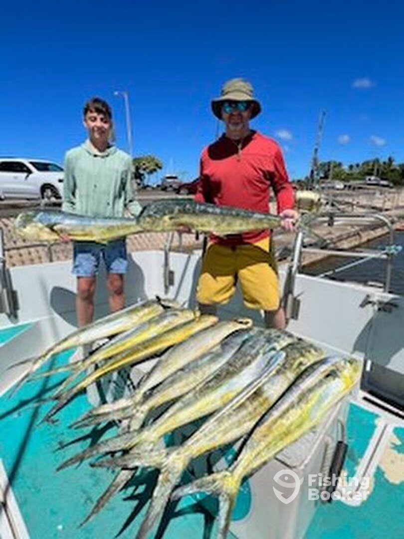 Haleiwa Report Photo 0