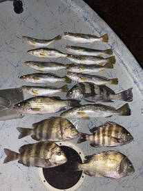 Good time to fill the box! 