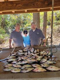 The fall crappie bite is here